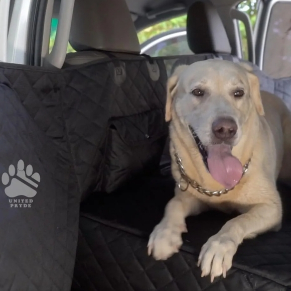 Premium Back Seat Cover for Dogs - Picture 8 of 13